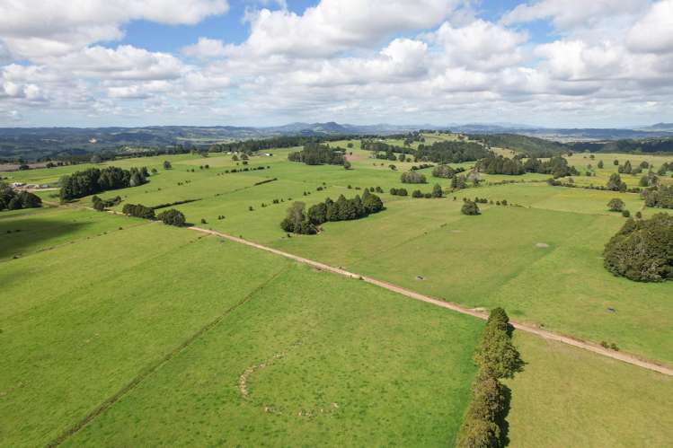 503 Puhipuhi Road Whakapara_9