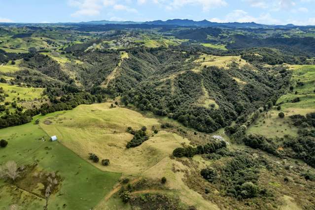 897 Bull Road Waiotira_1