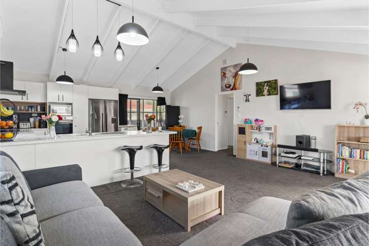 12a Lee Street Te Puke_7