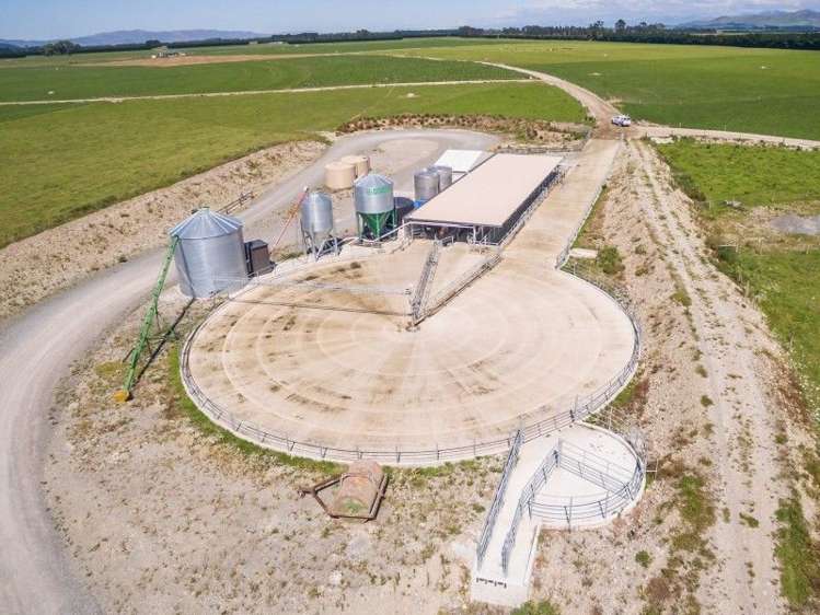 136 Mount Palm Road Rotherham_4