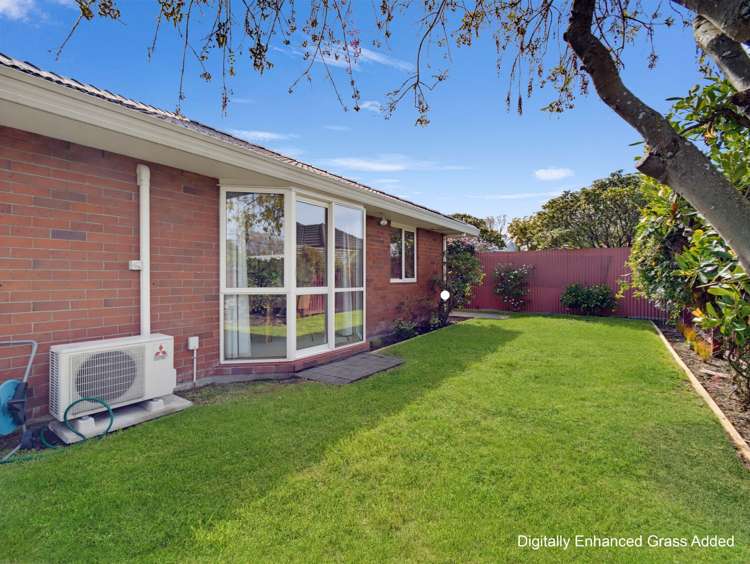 36 Palmside Street Somerfield_22