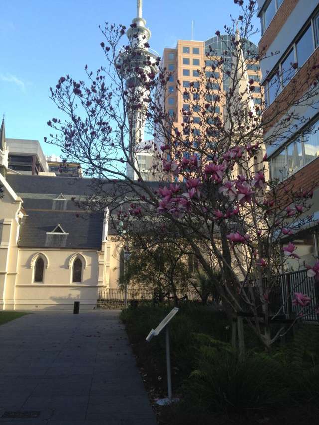 6D/37 Federal Street Auckland Central_1