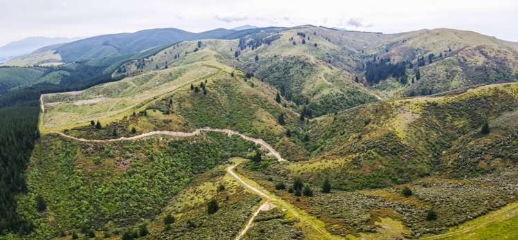 Mcintosh Road Geraldine_11