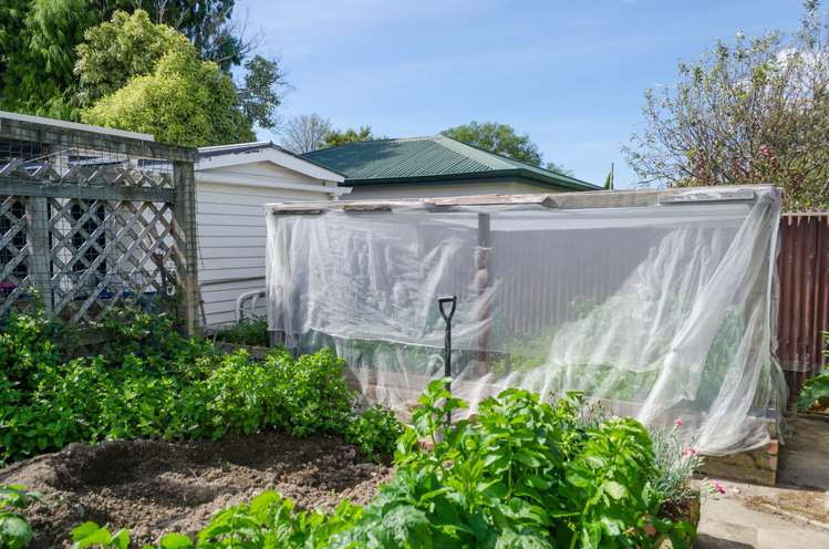 43 Michael Street Masterton_19