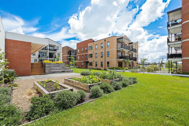 05/77g Hobsonville Point Road Hobsonville_15