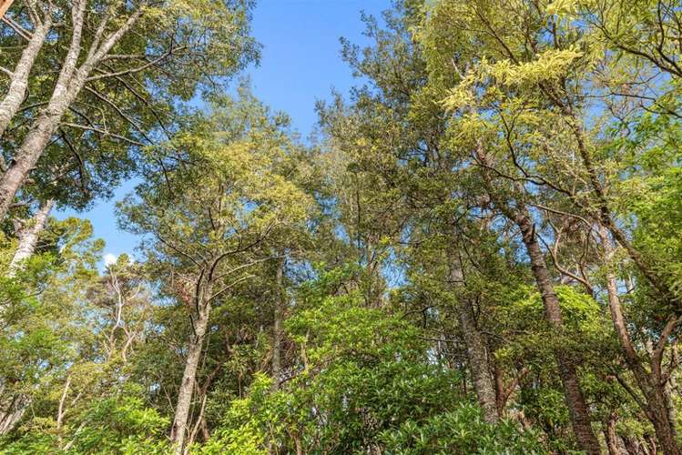 42a Rangatira Road Birkenhead_15