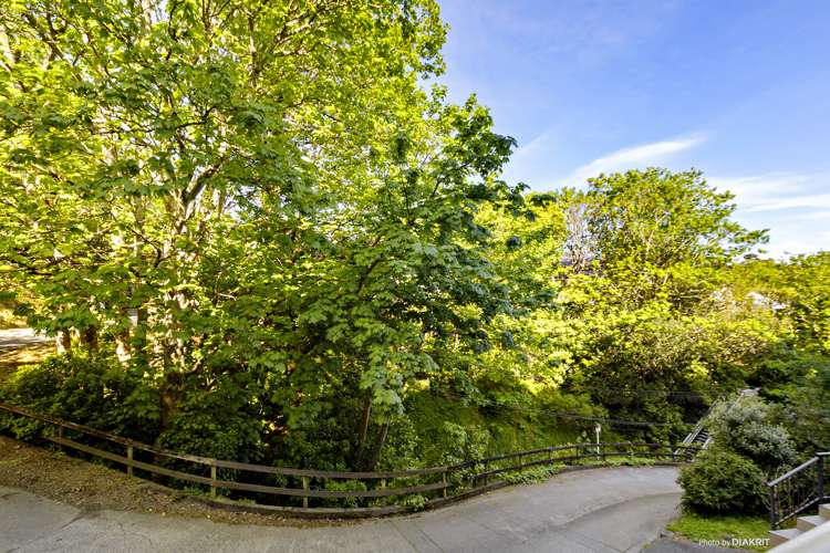 5 Bank Road Northland_19