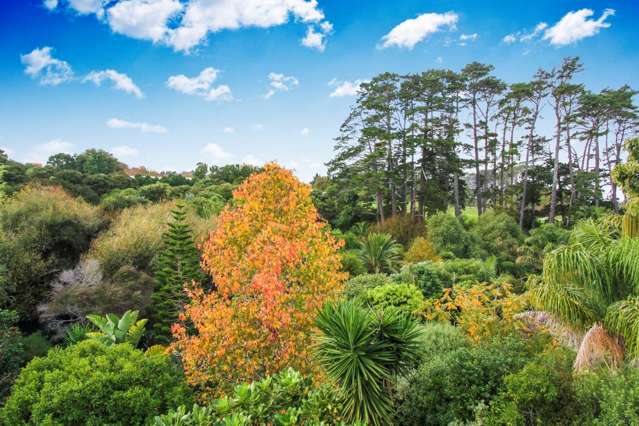 23 Glen Oaks Saint Heliers_3