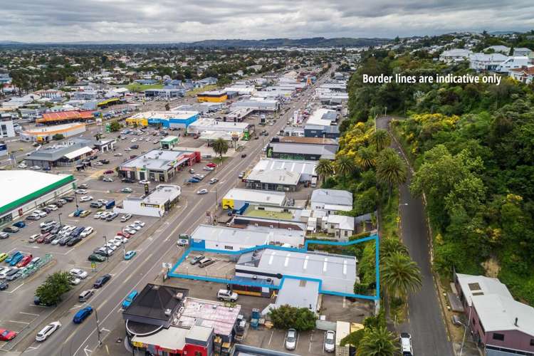 25 Carlyle Street Napier South_2