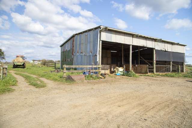 321 Gun Club Road Pukekohe_2