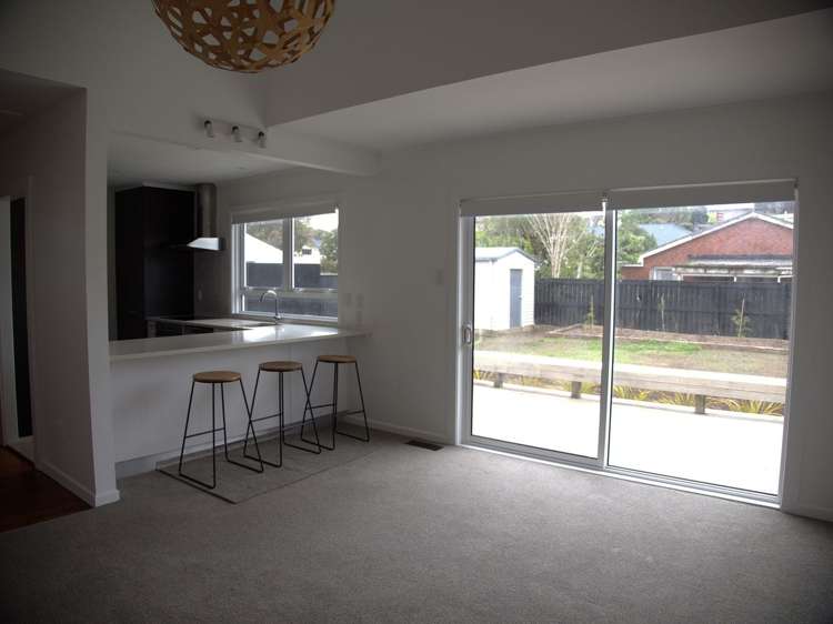 17 Campbell Street Karori_7