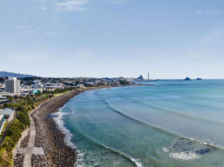 12/4 Buller Street New Plymouth Central_22