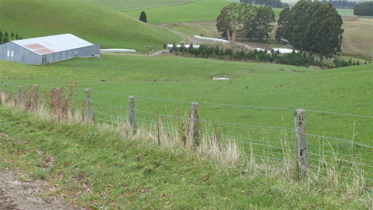 44 Rodgers Road Catlins Surrounds_8