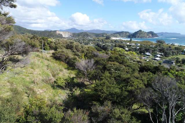 540b Medland Road Great Barrier Island_2