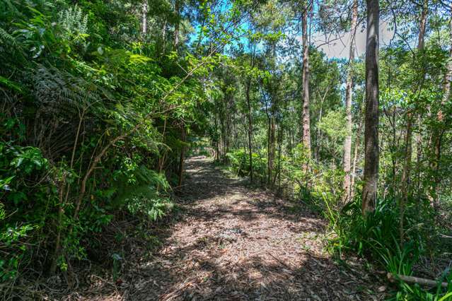 420 Bellville Drive Coromandel_4