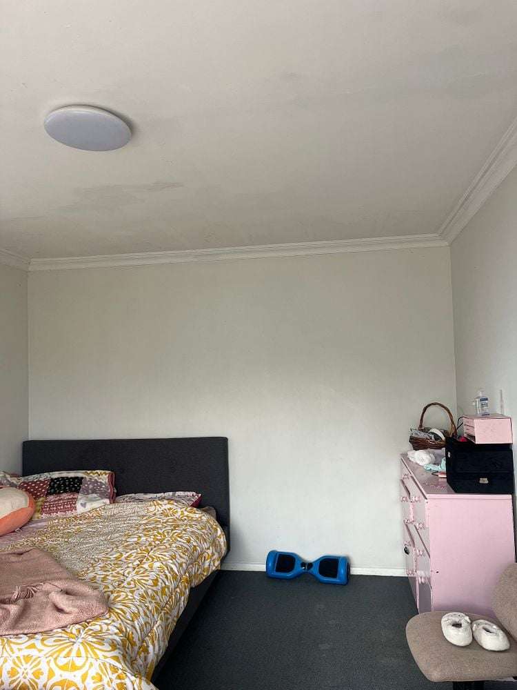 158 Winchester Street Levin_14