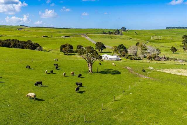 3902 State Highway 12 Dargaville_1