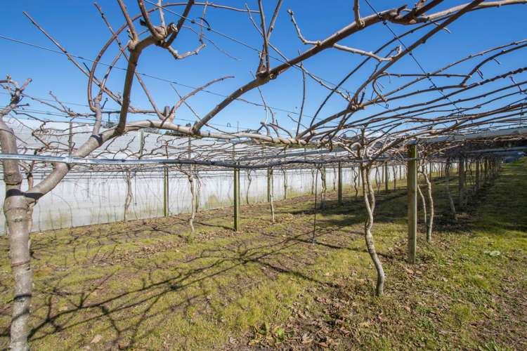 21 Anderson Lane Whakamarama_16