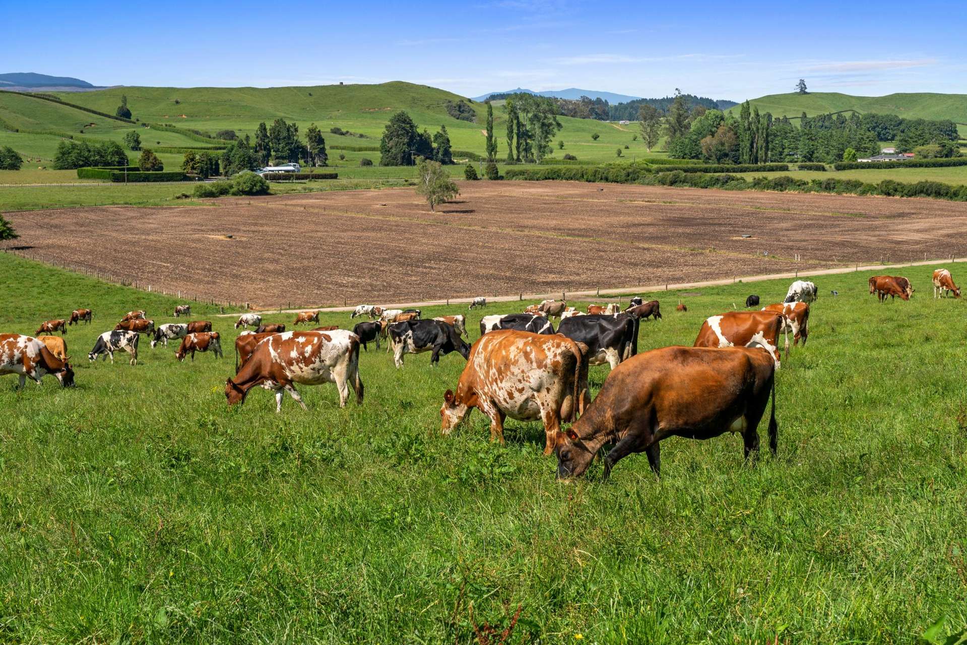 301 Matarawa Road Tokoroa_0