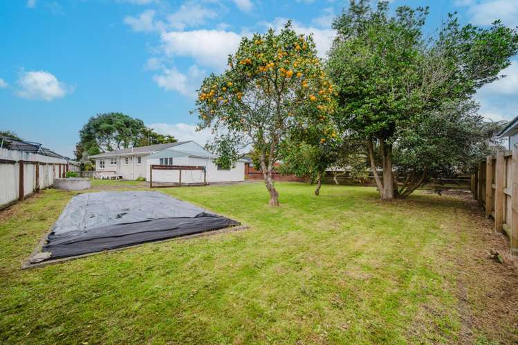 15 Taonui Street Rosehill_15