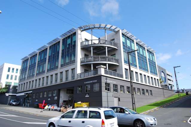 Bright, Bold, and Business-Ready - 167sqm Mt Eden