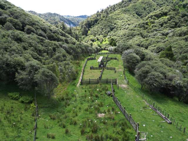 Trussells Track, Tawata Road Taumarunui_1