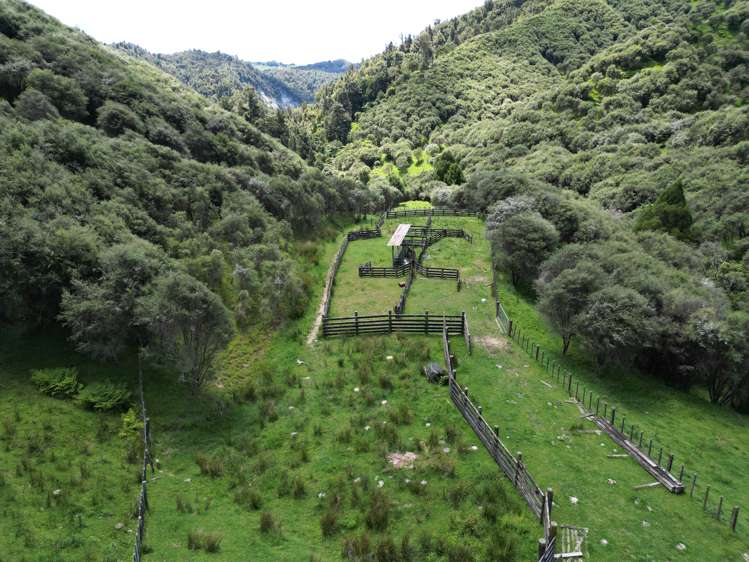 Trussells Track, Tawata Road Taumarunui_1