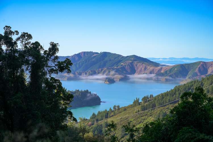 2464 Port Underwood Road Port Underwood_12