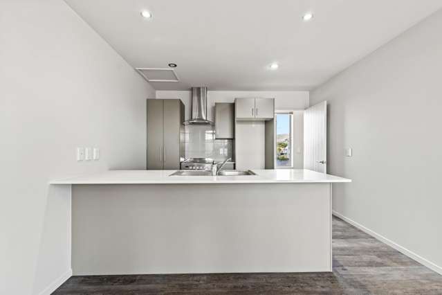 2/19 Cameron Street Sydenham_1