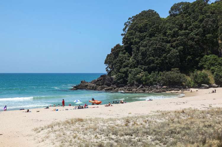 214 Onemana Drive Onemana_9