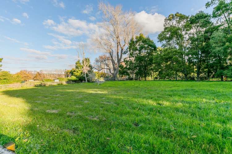 99 Postman Road Dairy Flat_31