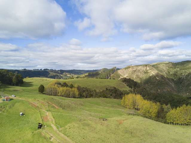 Lot 14 Orotere Estate Kaeo_4