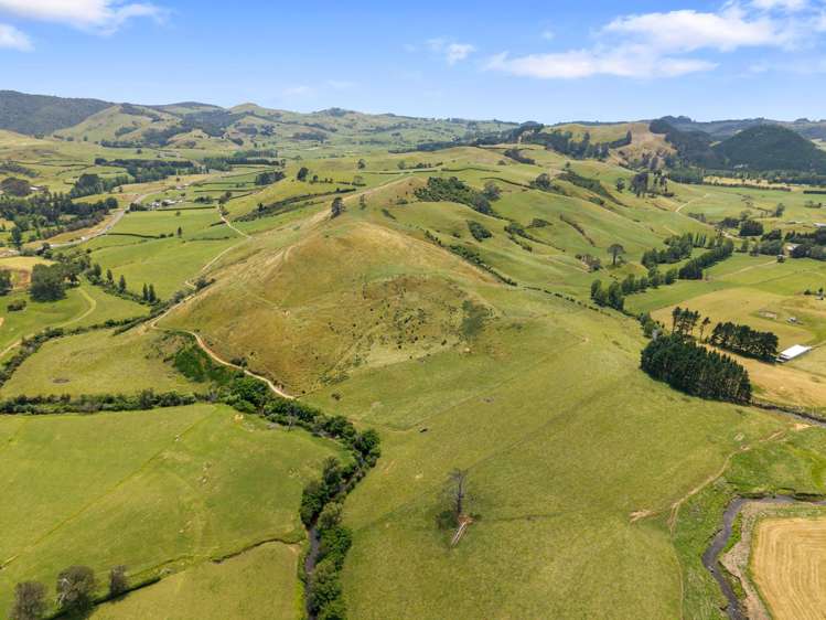 368 Waihi-Whangamata Road Waihi_11