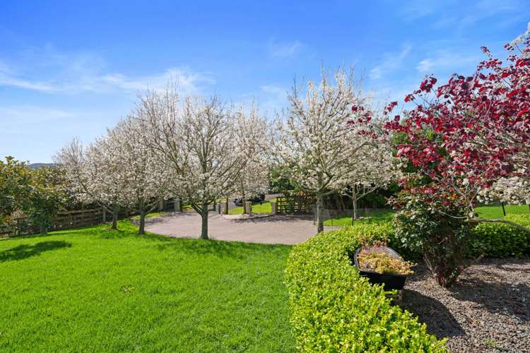 75 Whitford Park Road Whitford_36