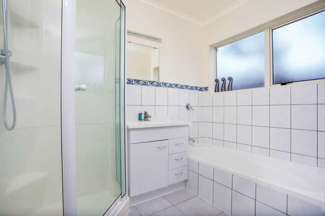 22a Woodward Road Mount Albert_2