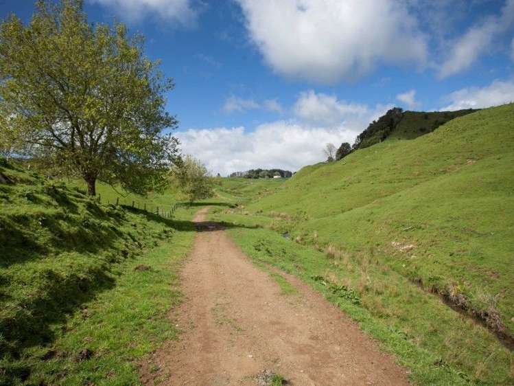 450 Ngapaenga Road Pomarangai_8