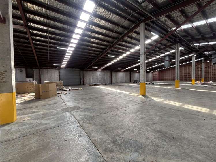 11 McDonald Street Morningside_3