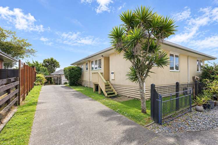 87B Mansels Road Greerton_13