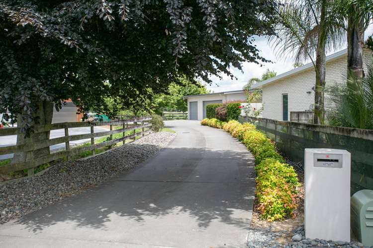 3e Watkins Road Cambridge_14