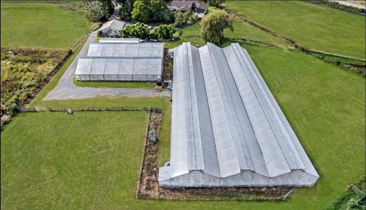 215 Waihoehoe Road Drury_3