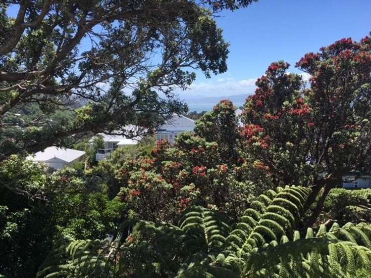 143B Upland Road Kelburn_15