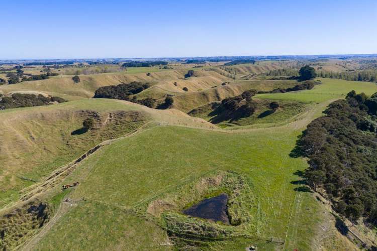 109A Junction Road Halcombe_8