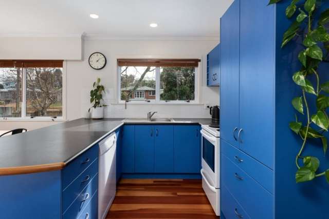 16 Sharyn Place 11218_4