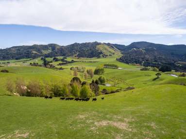 2122 Masterton Castlepoint Road_1