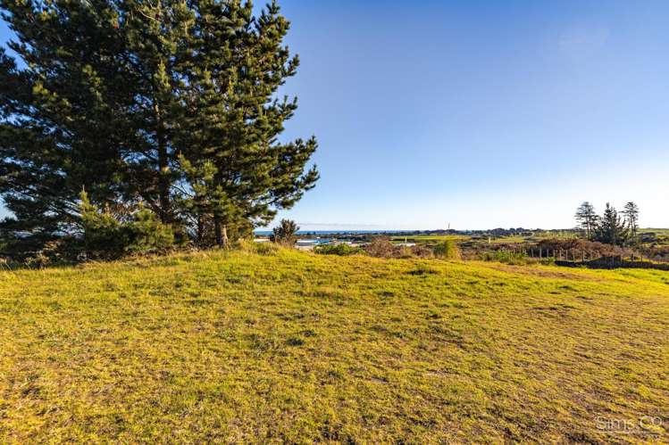 48 Clarkson Avenue Westmere_6
