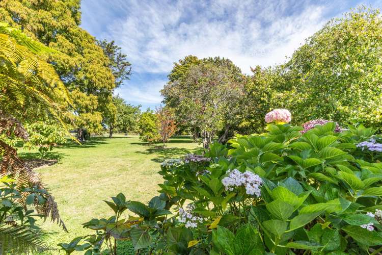 3/32 White Street Taradale_17