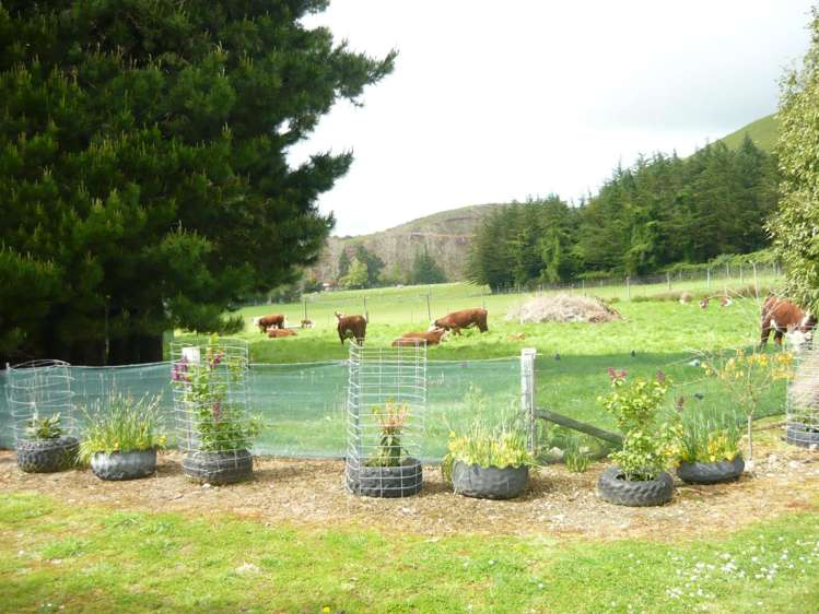 677 Mill Road Waimate_1