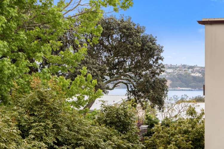 16/20 Shelly Beach Road Saint Marys Bay_12