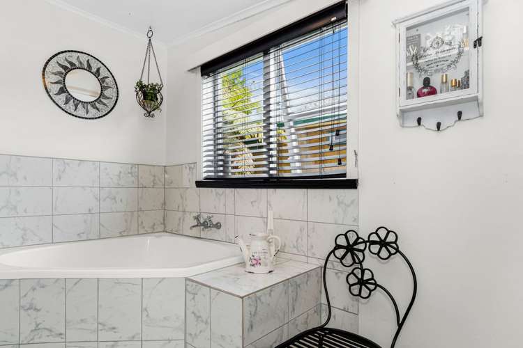 23 Moresby Avenue Waihi_10