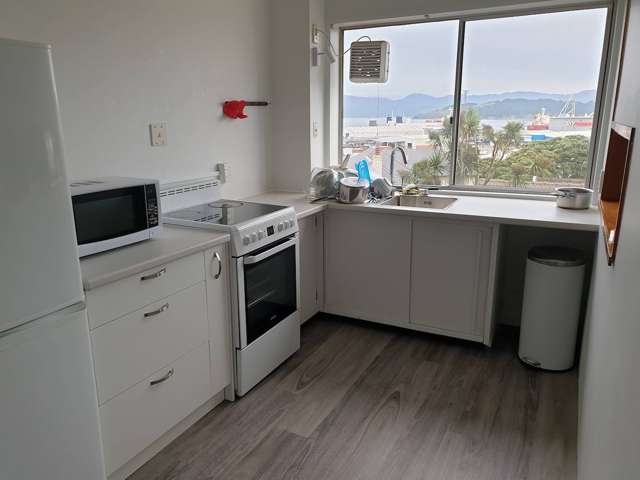 GA/1 Grant Road Thorndon_1